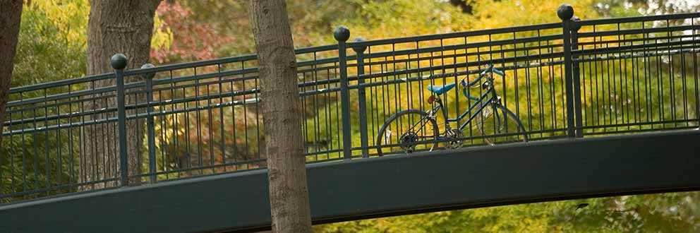 Bike parked on foot bridge with trees in background